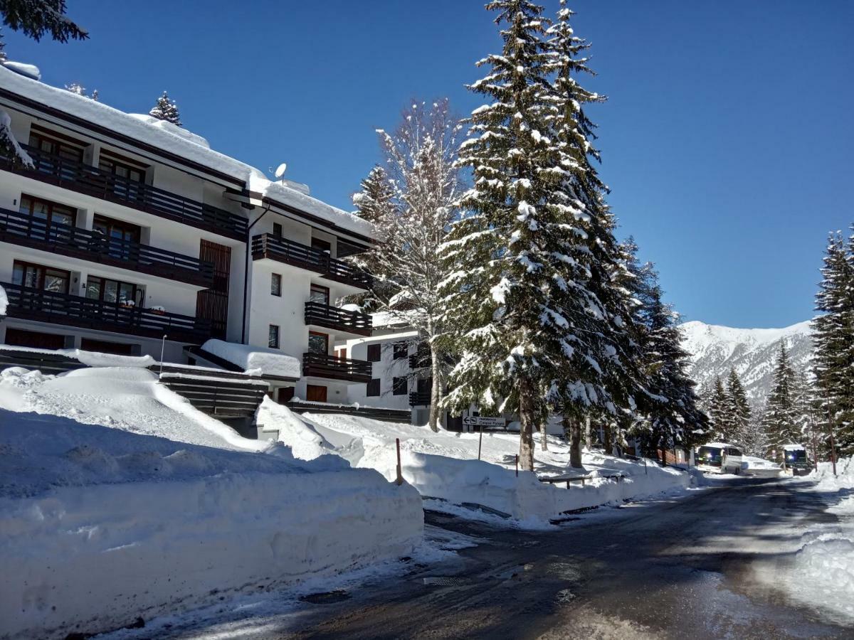 Casa Cinque Funghi A Folgarida Apartman Kültér fotó