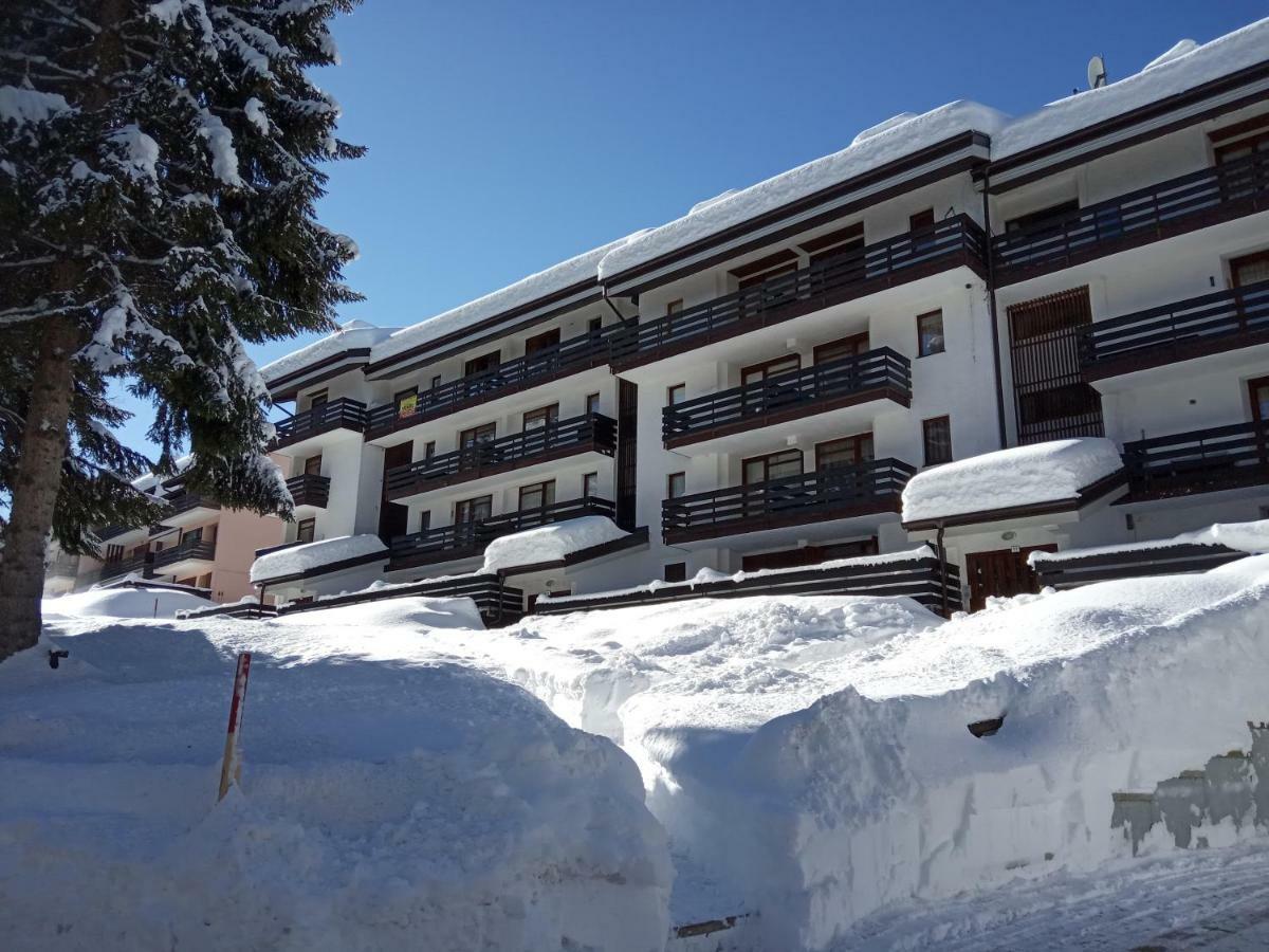Casa Cinque Funghi A Folgarida Apartman Kültér fotó